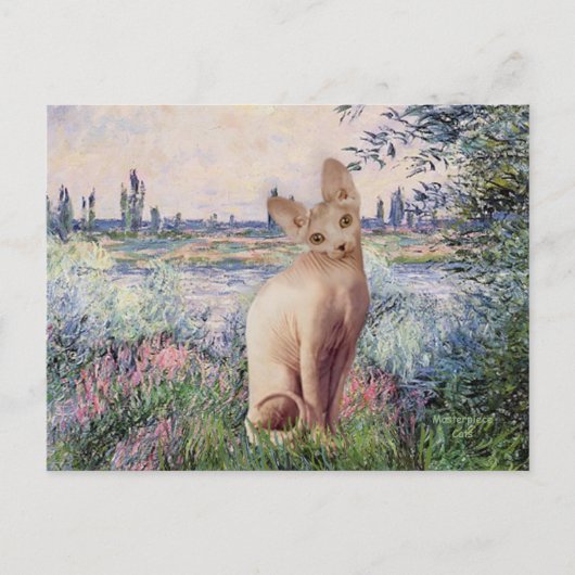 Carte Postale Au bord de la Seine - Chat Sphynx crème (Devant)