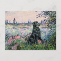 Au bord de la Seine - Retriever à revêtement plat