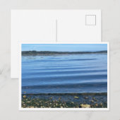 Carte Postale Au bord de l'eau (Devant / Derrière)