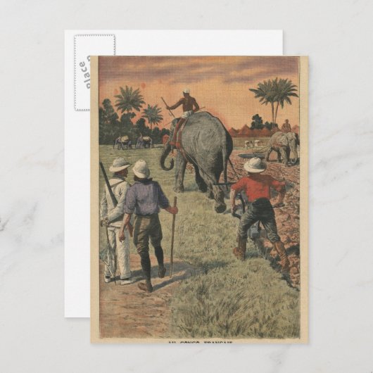 Carte Postale Au Congo français, l'éléphant s'est entraîné à lab (Devant / Derrière)