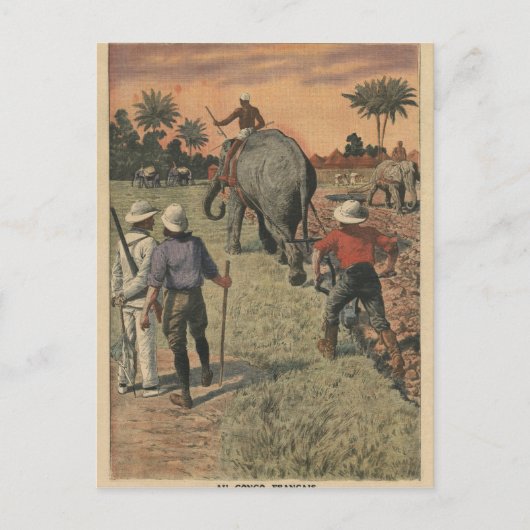 Carte Postale Au Congo français, l'éléphant s'est entraîné à lab (Devant)