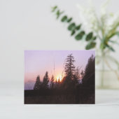 Carte Postale Au-delà des arbres......Carte postales (Debout devant)