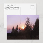 Carte Postale Au-delà des arbres......Carte postales (Devant / Derrière)