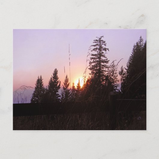 Carte Postale Au-delà des arbres......Carte postales (Devant)