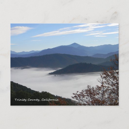 Carte Postale Au-delà des couleurs de l'automne... (Devant)