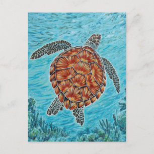 Carte Postale Au-delà du récif