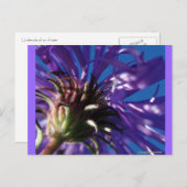 Carte Postale Au-dessous d'un aster (Devant / Derrière)