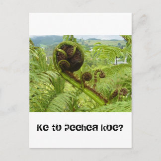Carte Postale Au-dessus de la canopée : Kiwiana