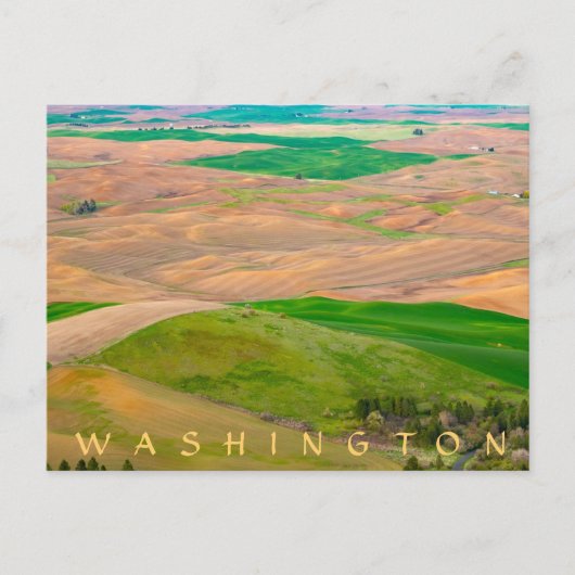 Carte Postale Au-dessus de la Palouse peinte de la Butte Steptoe (Devant)