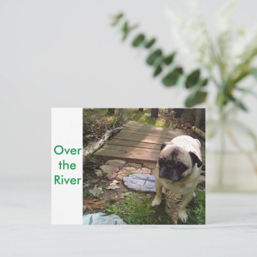 Carte Postale Au-dessus de la rivière (Debout devant)