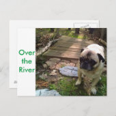 Carte Postale Au-dessus de la rivière (Devant / Derrière)