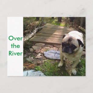 Carte Postale Au-dessus de la rivière