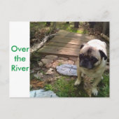 Carte Postale Au-dessus de la rivière (Devant)