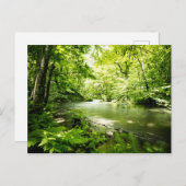 Carte Postale Au fond de la forêt (Devant / Derrière)