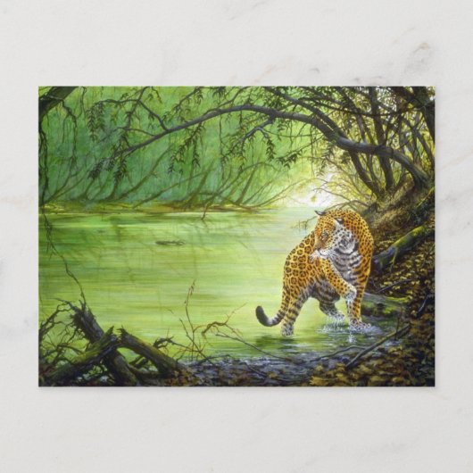 Carte Postale Au fond des bois, Jaguar (Devant)