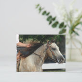 Carte Postale Au Horse Show (Debout devant)