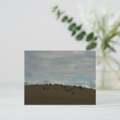 Carte Postale Au loin (Debout devant)