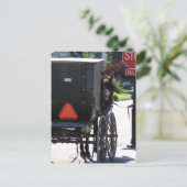 Carte Postale Au panneau stop, Un cheval amish (Debout devant)