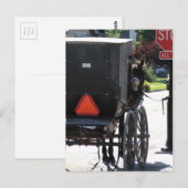 Carte Postale Au panneau stop, Un cheval amish (Devant / Derrière)