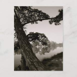 Carte Postale Au parc