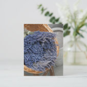 Carte Postale Au pays des lavandes (Debout devant)