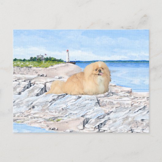 Carte Postale Au phare (Devant)