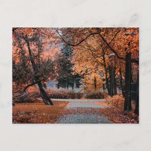 CARTE POSTALE AU PIED DE L'AUTOMNE (Devant)