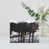 Carte Postale Au poste de tir (Debout devant)