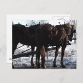 Carte Postale Au poste de tir (Devant / Derrière)