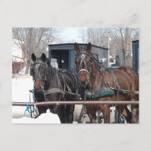Carte Postale Au poste de tir