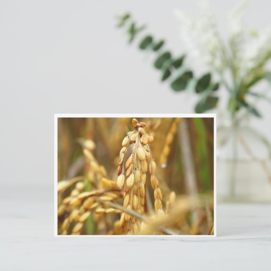 Carte postale au riz (Debout devant)