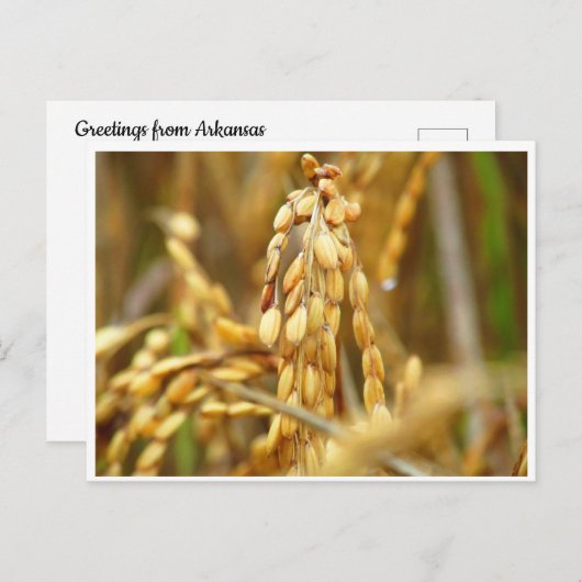 Carte postale au riz (Devant / Derrière)