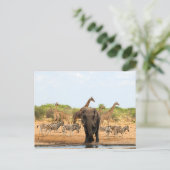 Carte Postale Au trou d'eau (Debout devant)