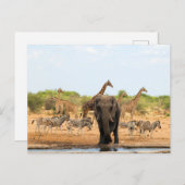 Carte Postale Au trou d'eau (Devant / Derrière)