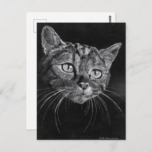 Carte postale au visage de chat (Devant / Derrière)