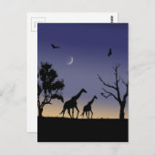 Carte Postale aube africaine - girafes (Devant / Derrière)