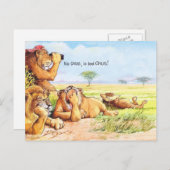 Carte Postale Aucun gnus (Devant / Derrière)