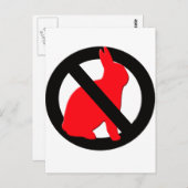 Carte Postale Aucun lapin autorisé (Devant / Derrière)