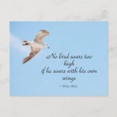 Carte Postale Aucun oiseau ne s'enfonce trop haut mouette en ble (Devant)