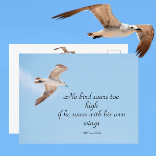 Carte Postale Aucun oiseau ne vole trop haut Mouette en vol bleu