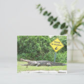 Carte Postale Aucune natation ! (Debout devant)