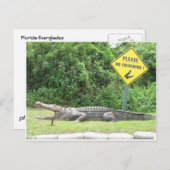 Carte Postale Aucune natation ! (Devant / Derrière)