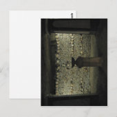 Carte Postale Aucune résolution supérieure disponible. Catacombs (Devant / Derrière)