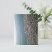 Carte Postale Aucune résolution supérieure disponible. Malmo_vie (Debout devant)