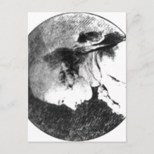 Carte Postale Aucune résolution supérieure disponible. Sade_Loo. (Devant)