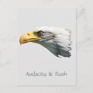 Carte Postale Audacité et ruée de l'aigle chauve personnalisable