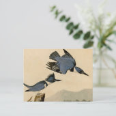 Carte Postale Audubon Belted Kingfisher Wildlife Bird (Debout devant)