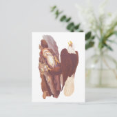 Carte Postale Audubon Classic Bald Eagle avec poisson frais (Debout devant)