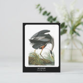 Carte Postale AUDUBON / Grand Héron Bleu (Debout devant)