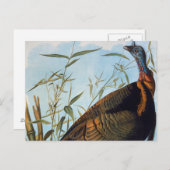 Carte Postale Audubon : La Turquie sauvage (Devant / Derrière)